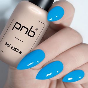 Gel Polish PNB - 8 ml - 220