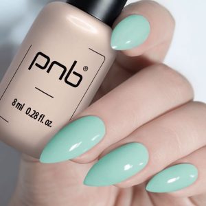 Gel Polish PNB - 8 ml - 247