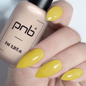 Gel Polish PNB - 8 ml - 249