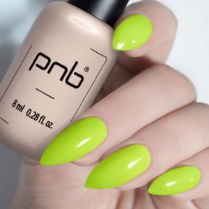 Gel Polish PNB - 8 ml - 251