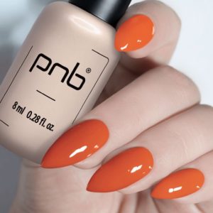 Gel Polish PNB - 8 ml - 270