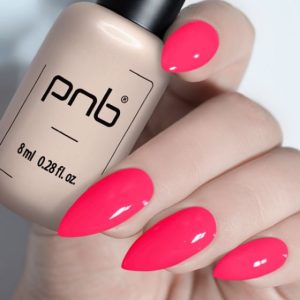 Gel Polish PNB - 8 ml - 256