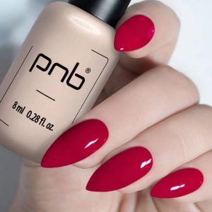 Gel Polish PNB - 8 ml - 210