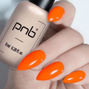 Gel Polish PNB - 8 ml - 113