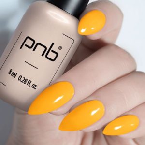 Gel Polish PNB - 8 ml - 253