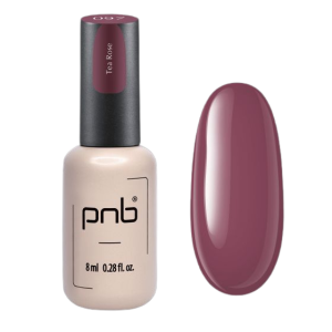 Gel Polish PNB - 8 ml - 097