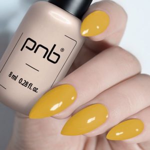 Gel Polish PNB - 8 ml - 250