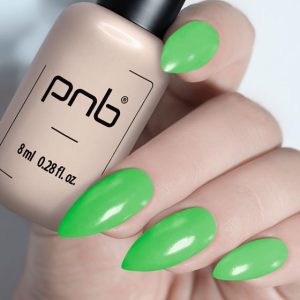 Gel Polish PNB - 8 ml - 221