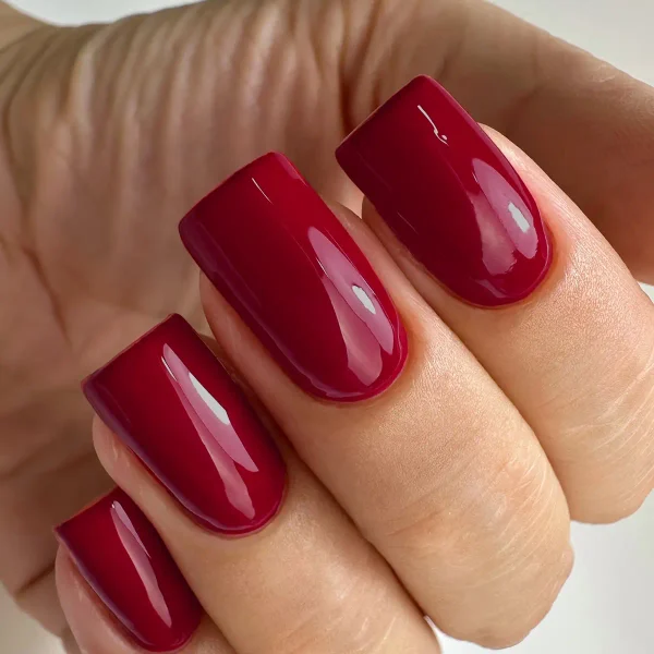 Gel lak PNB - 8 ml - 209 - Image 2
