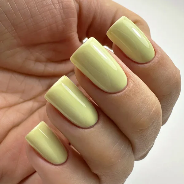 Gel lak PNB - 8 ml - 366 - Image 2