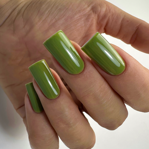 Gel lak PNB - 8 ml - Quiet Olive 06L - slika 3