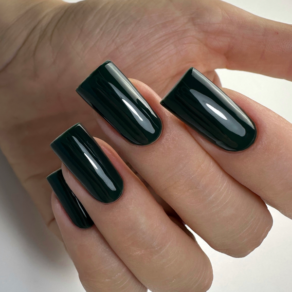 Gel lak PNB - 8 ml - Hidden Garden 08L - slika 3